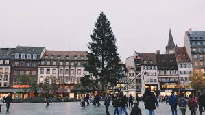 Il est souvent associé aux cadeaux de noël et à la crèche. Noel A Strasbourg Le Grand Sapin De La Place Kleber A Ete Coupe Dans Le Massif Des Vosges Actu Strasbourg