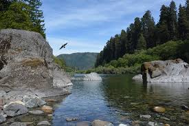 Four are in the elk prairie campground and four are in the jedediah smith campground. Jedediah Smith Campground Updated 2021 Reviews Crescent City Ca Tripadvisor