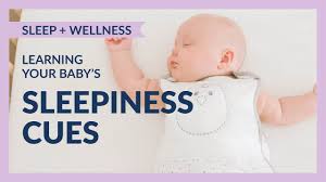 How can you ever maintain a solid sleep schedule with all of the disruptions going on? Baby Sleep Simplified Newborn Sleep Schedules Patterns Nested Bean