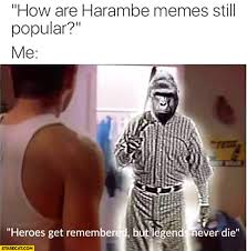 Just to play this one out 'til the very end. How Are Harambe Memes Still Popular Me Heroes Get Remembered But Legends Never Die Starecat Com