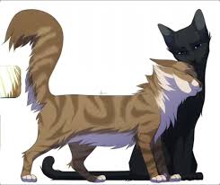 Грач и Листвичка|Crowfeather/Leafpool #квшникиживы💜 #подпишись #комме... |  TikTok