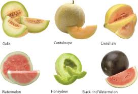 Check spelling or type a new query. Hot Days Cool Melons Pcc Community Markets