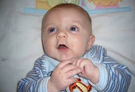 Baby savaged to death by dogs as grandmother slept, inquest hears