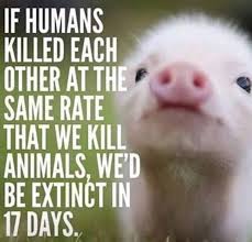 15 Quotes About Animal Cruelty That All Animal Lovers Should Read In 2020 Animal Quotes Animal Cruelty Quotes Animal Lover Quotes
