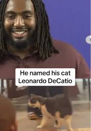 Donovan Jackson Cat