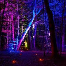 Magic Green Art - Les Nuits Magiques du Saleve