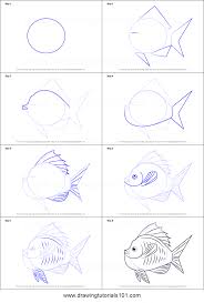 Art projects for kids.org is a participant in the amazon services llc associates program, an affiliate advertising program designed to provide a means for me to earn fees by linking to amazon.com and affiliated sites. How To Draw Goldfish In Tank Printable Step By Step Drawing Sheet Drawingtutorials101 Com