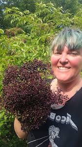 Recipe for zucchini brownies with honey