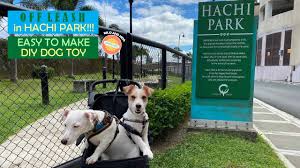 ♥ diy doggie projects, giveaways, dog parks and more! Off Leash Dog Park Dogs Fighting Youtube