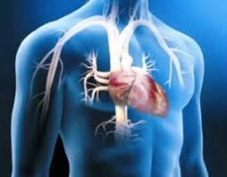 Después de que a christian se le hayan hecho varios exámenes cardíacos se ha decidido que se debería ponerle un dai (desfibrilador automático implantable). La Cercania A Un Desfibrilador Publico Mejora El Pronostico Del Paro Cardiaco Jano Es Elsevier