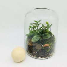 Terrarium Kit With Glass Container And Wooden Ball Lid With Etsy