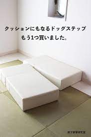 クッションにもなるドッグステップを リピ買いしました happy living 削ぎ家事研究室 powered by ライブドアブログ ドッグステップ クッション 家事
