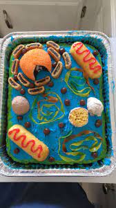 Check spelling or type a new query. Edible Animal Cell Project Plant Cell Project Cell Model Project Cells Project