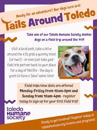 Request an appointment from other similar providers. Take Shelter Dogs Out On A Field Trip With The Toledo Humane Society S Tails Around Toledo Program Wtol Com