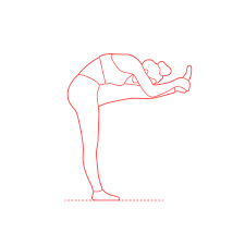 How the archer hot yoga towel can help you in standing head to knee pose. Standing Head To Knee Pose Dandayamana Janushirasana Dimensions Drawings Dimensions Com