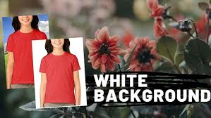 And all of them have rather similar functionality and features. How To Change Background Color Of An Image To White Using Online Editor Colorful Backgrounds Change Background Make Background White