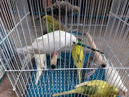 Read more biaya masuk taman labirin cempaka#spf=1607716768190 ~ biaya masuk taman labirin cempaka#spf=1607716768190 / ufc. Vfm Ejc U1uvtm
