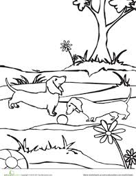 Dachshund puppy from www wiener dog coloring pages. Color The Dachshund Dogs Worksheet Education Com Puppy Coloring Pages Dachshund Dog Dachshund Cartoon
