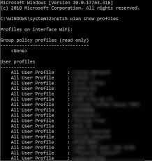 Type netsh wlan show profiles and press enter. How To Back Up And Restore Wireless Network Profiles Petri