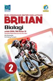 We did not find results for: Kunci Jawaban Buku Brilian Biologi Kelas 11 Peranti Guru