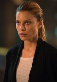 The Dark Wives (Vera Stanhope, #11) by Ann Cleeves