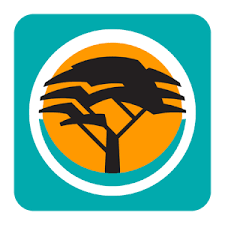 Windfall Of 3 3 Billion Megabytes Of Data For Fnb Customers Credit Card Online Banking App Banking