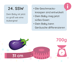 24 Ssw Schwangerschaftswoche