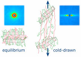 Molecular Alignment In Polyethylene During Cold Drawing Using In Situ Sans And Raman Spectroscopy Macromolecules X Mol