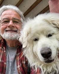 Loyal Great Pyrenees Dogs
