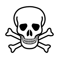 2000px Skull And Crossbones Vector Svg Png 2000 2000 Skull Coloring Pages Skull Skull Template