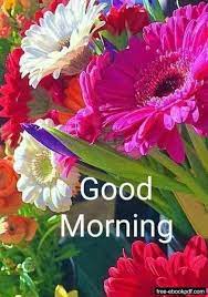 The section is combination of some good morning text messages as well as images. Positive Good Morning Message Good Morning Flowers Good Morning Images Flowers Good Morning Flowers Pictures