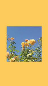 Estrellas luna nubes cielo fondos de pantallla fotos. Color Amarillo Pastel Fondos Amarillos Aesthetic Novocom Top