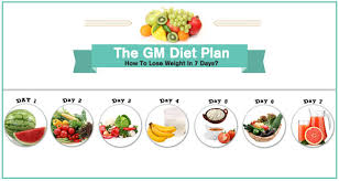 Gm Diet Plan General Motors 7 Day Diet Chart Menu Review