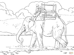 Riding Indian Elephant Super Coloring Elephant Coloring Page Farm Animal Coloring Pages Coloring Pages
