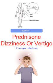 Pin On Vertigo Causes Ears