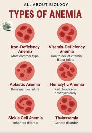 Image result for Anemia