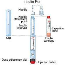 The length of time before insulin reaches the bloodstream and starts working. Insulin Pens Aftercare Instructions What You Need To Know