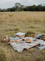5 Picnic Essentials To Try This Summer - SA Decor & Design