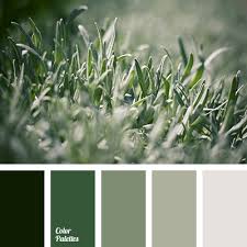 Color Palette 3015 Color Palette Green Color Schemes Green Colour Palette