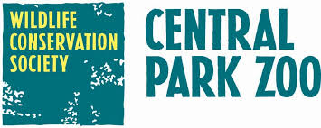 Central Park Zoo Wildlife Conservation Society Animals Wild Zoo