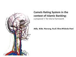 Banks in bangladesh maintained the car at 11.60 per cent last year, way less than 17 per cent in pakistan, 16.5 per cent in sri lanka and 15.1 per capital adequacy is the topmost component of the camels rating for banks. Ppt Camels Rating System In The Context Of Islamic Banking Powerpoint Presentation Id 4535858