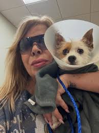 Our baby girl Anna was adopted a few days ago by this incredible family.  They fell head over heels in love with her, just like love at first sight!  Because she's one