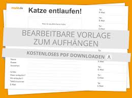Katze vermisst gratis vorlage fur vermisstenanzeige. Katze Entlaufen Suchzettel Katzen Katze Vermisst Vogel
