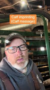 Understanding Calf Imprinting Techniques for Optimal Care