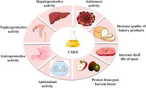 Image result for Cordia grandicalyx