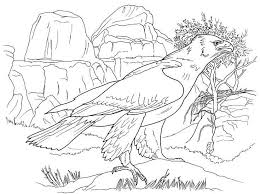 Please share desert habitat animals coloring pages with pinterest or other social media, if you attention with this wall. Best Eagle Coloring Pages For Kids Desert Animals Coloring Coloring Pages Animal Coloring Pages