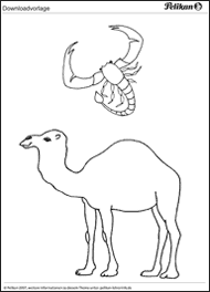Dieses kamel ernährt sich von laub und wüstenvegetation; Diorama Wustenpanorama Oase Pelikan