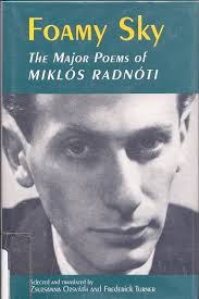 Foamy Sky: The Major Poems of Miklos Radnoti (Lockert Library of Poetry in  Translation)