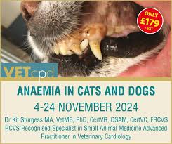 A new animal hospital opening soon with FANTASTIC Murals... the inside…