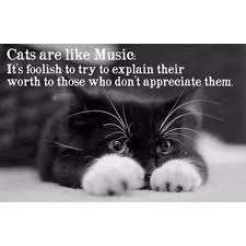 Cats Are Like Music It S Foolish To Try To Explain Their Worth To Those Who Don T Appreciate Them Crazy Cats Cute Animals I Love Cats